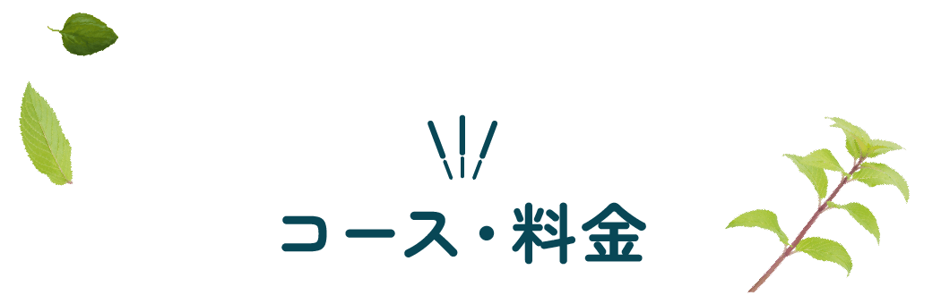 コース・料金